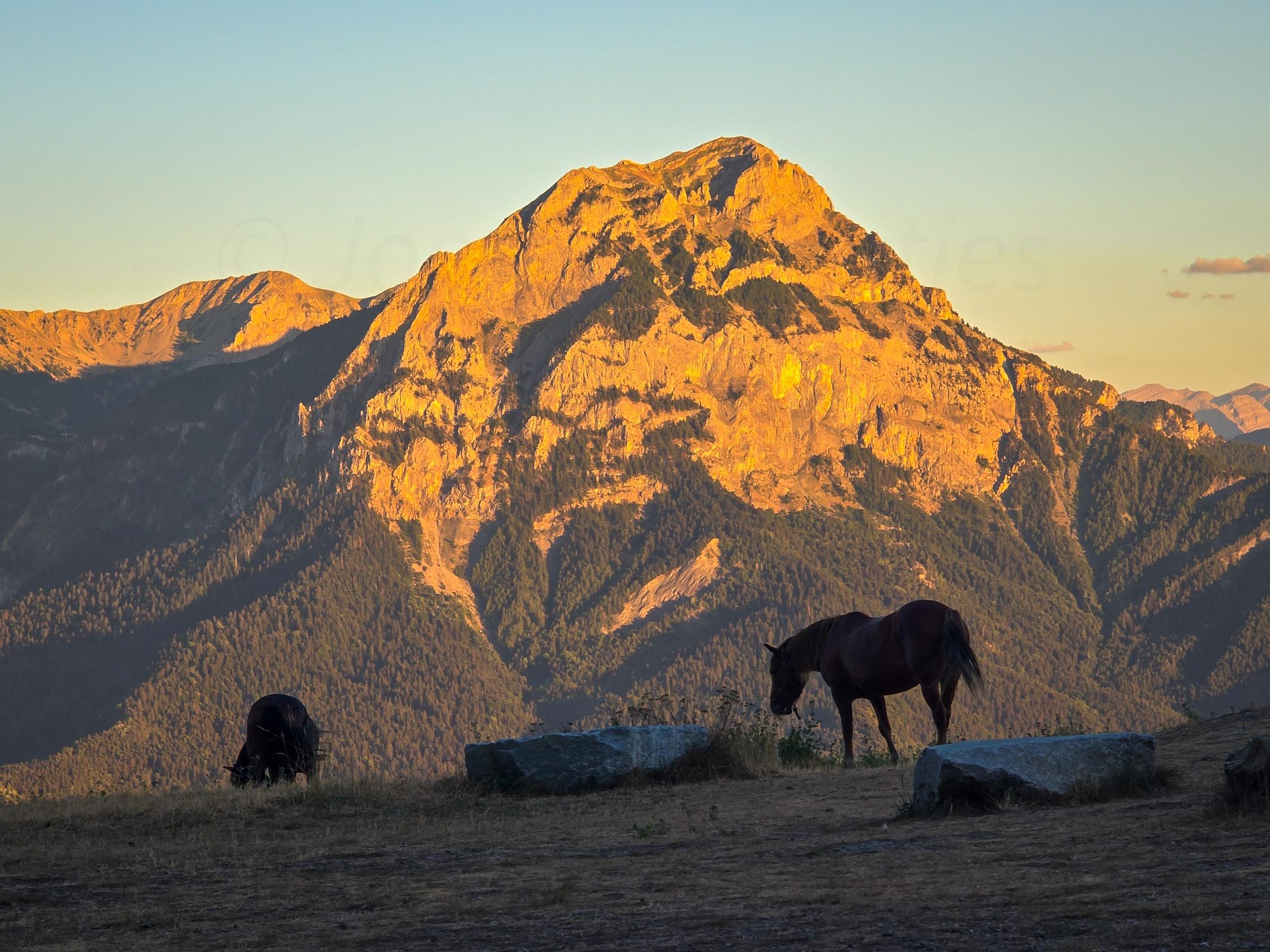 Paarden grazen voor een berg in het avondlicht